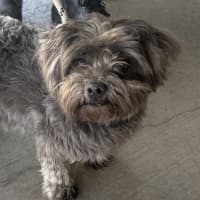 Photo of Coco