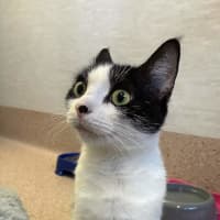 Photo of Penni