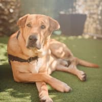 Photo of Ted
