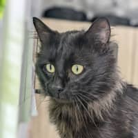 Photo of 🤴 Prince 5738 🤴