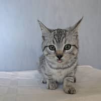 Photo of Timothy 