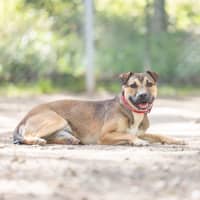 Photo of Bella