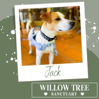 Photo of Jack 