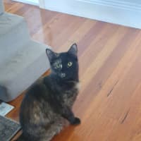 Photo of Ruby 