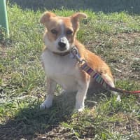 Photo of Alvin