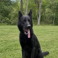 Photo of Kayo