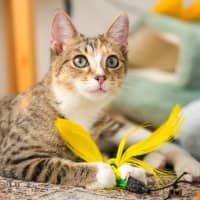 Photo of Elsie