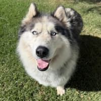 Photo of Iko