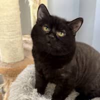 Photo of Diaz And Gucci