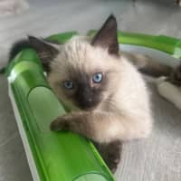 Photo of Nelson 🩵