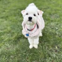 Photo of Snowy