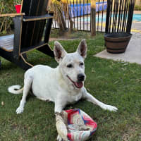 Photo of Lizzie