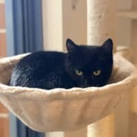 Photo of Max