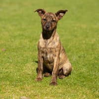 Photo of Tasha