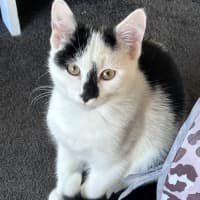 Photo of Skittles 🌈