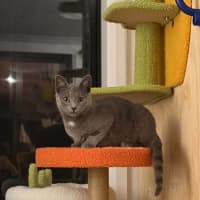 Photo of Smokey