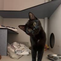 Photo of Sumi 