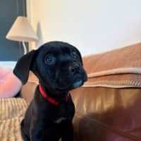 Photo of Maggie