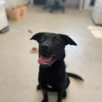 Photo of 🛴 Enzo 5574 🛴