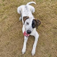 Photo of Sofia