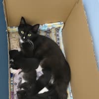 Photo of 💕 Phoebe & Joey 💕