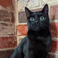 Photo of Gretel