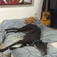 Photo of Skye