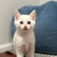 Photo of 💜Greyson 💜