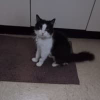 Photo of Miss Biccies