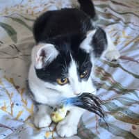 Photo of Isabella