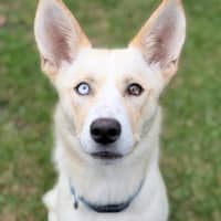 Photo of Sugar
