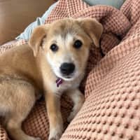 Photo of Jazz