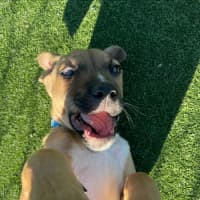 Photo of Cloud Imp 1722