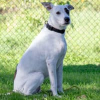 Photo of Mabel