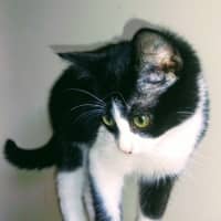 Photo of Elsa