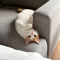 Photo of Millie