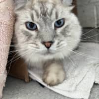 Photo of Oliver