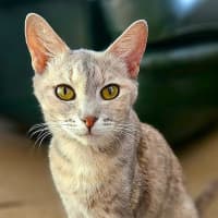 Photo of Jemma