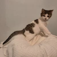 Photo of Alvin