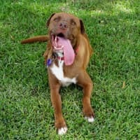 Photo of Wally