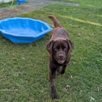 Photo of Coco