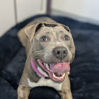 Photo of 🍇 Lyra 6376 🍇