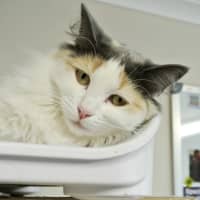 Photo of Leela