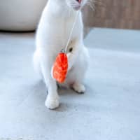 Photo of Pancake