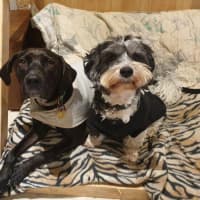 Photo of Mack Jablonski