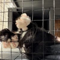 Photo of Tuxy