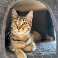 Photo of Arya