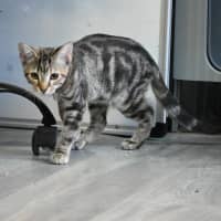 Photo of Eve