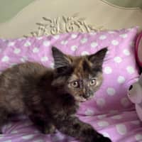 Photo of Peggy