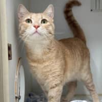 Photo of George